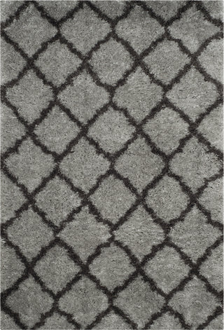 Safavieh Indie Shag SGI322S Grey/Dark Grey Area Rug 