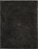 Safavieh Sgs-Supreme Shag Supreme 621 Dark Grey Area Rug Main