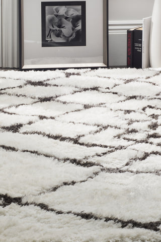 Safavieh Toronto Shag 723 Ivory/Dark Grey Area Rug  Feature