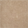 Safavieh Toronto Shag Bhg Beige Area Rug Square