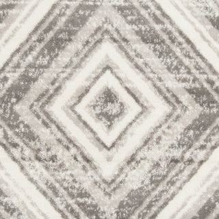 Safavieh Skyler SKY120K Grey/Ivory Area Rug 