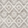 Safavieh Skyler SKY120K Grey/Ivory Area Rug 