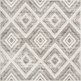 Safavieh Skyler SKY120K Grey/Ivory Area Rug 