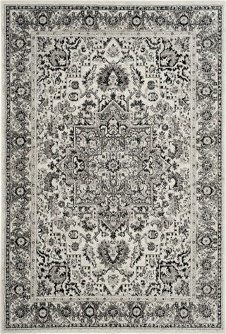 Safavieh Skyler SKY126K Grey/Ivory Area Rug main image