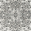 Safavieh Skyler SKY126K Grey/Ivory Area Rug 