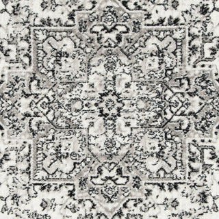 Safavieh Skyler SKY126K Grey/Ivory Area Rug 