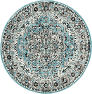 Safavieh Skyler SKY126M Blue/Ivory Area Rug 