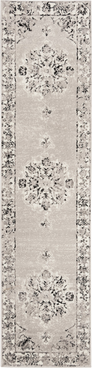 Safavieh Skyler SKY169K Grey/Ivory Area Rug 