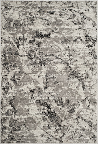 Safavieh Skyler SKY186K Grey/Ivory Area Rug main image