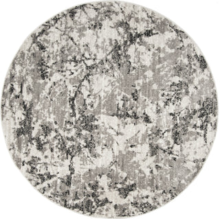 Safavieh Skyler SKY186K Grey/Ivory Area Rug 