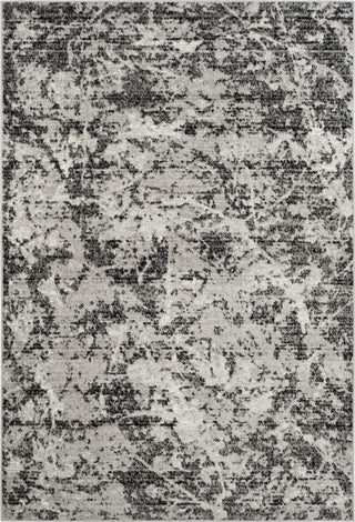 Safavieh Skyler SKY186L Charcoal/Ivory Area Rug main image