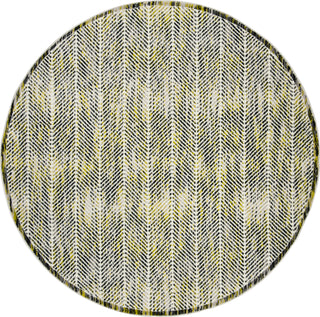 Safavieh Skyler SKY194G Grey/Green Area Rug 