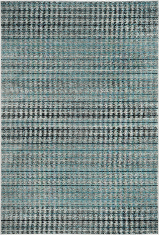 Safavieh Skyler SKY196C Blue/Grey Area Rug main image