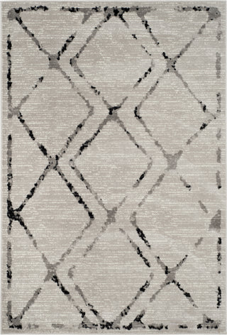 Safavieh Skyler SKY197H Ivory/Grey Area Rug main image