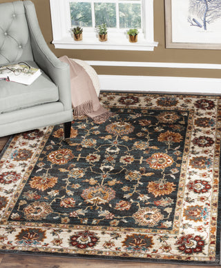 Safavieh Summit SMT292F Dark Grey/Ivory Area Rug 