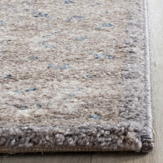 Safavieh Sofia SOF330B Light Grey/Beige Area Rug 