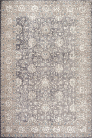 Safavieh Sofia SOF330B Light Grey/Beige Area Rug main image