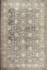 Safavieh Sofia SOF330B Light Grey/Beige Area Rug 