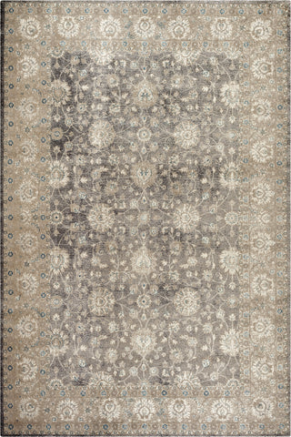 Safavieh Sofia SOF330B Light Grey/Beige Area Rug 