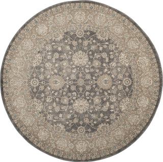 Safavieh Sofia SOF330B Light Grey/Beige Area Rug 