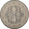 Safavieh Sofia SOF366B Light Grey/Beige Area Rug 
