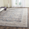 Safavieh Sofia SOF366B Light Grey/Beige Area Rug 