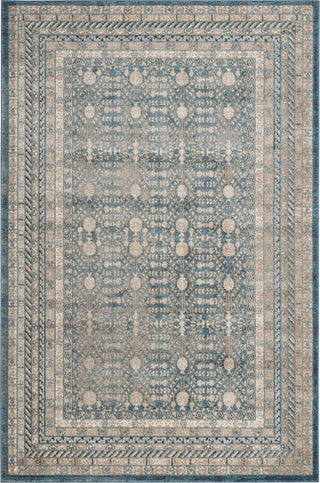 Safavieh Sofia SOF376C Blue/Beige Area Rug main image