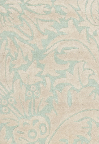 Safavieh Soho Soh255 Light Blue/Beige Area Rug 