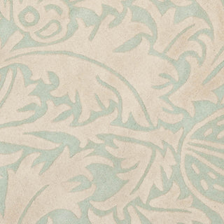 Safavieh Soho Soh255 Light Blue/Beige Area Rug 