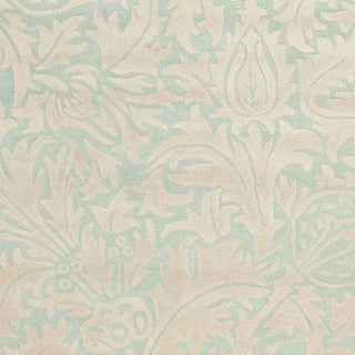 Safavieh Soho Soh255 Light Blue/Beige Area Rug 