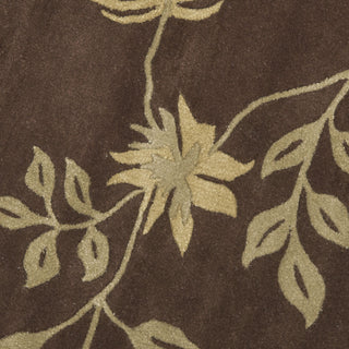 Safavieh Soho Soh313 Brown Area Rug 