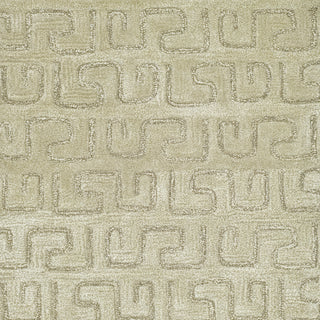 Safavieh Soho Soh416 Light Green Area Rug 