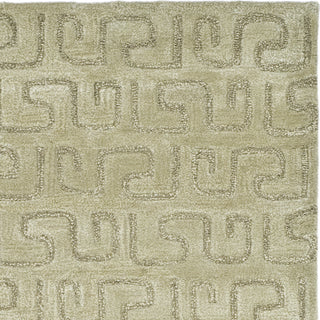 Safavieh Soho Soh416 Light Green Area Rug 