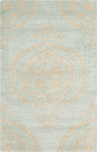 Safavieh Soho Soh703 Blue/Beige Area Rug main image