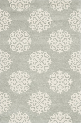 Safavieh Soho 724 Grey/Ivory Area Rug main image