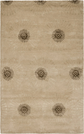 Safavieh Soho Soh821 Beige/Brown Area Rug main image