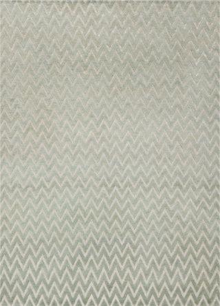 Safavieh Santa Fe STF533 Light Grey/Silver Area Rug main image