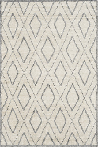 Safavieh Stone Wash STW311 Beige/Grey Area Rug main image