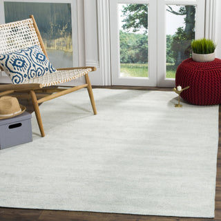 Safavieh Stone Wash STW615 Light Blue Area Rug Room Scene