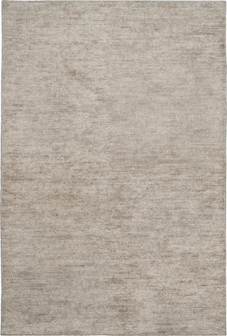 Safavieh Stone Wash STW615 Grey Area Rug main image