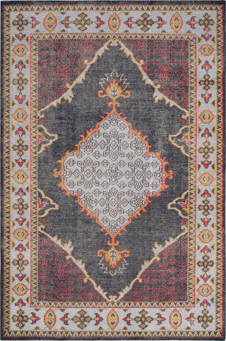 Safavieh Stone Wash STW820 Blue/Multi Area Rug Main