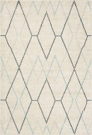 Safavieh Stone Wash STW903 Ivory/Blue Area Rug main image