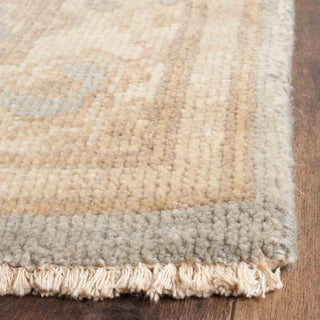 Safavieh Sivas SVS170 Light Blue/Ivory Area Rug Detail