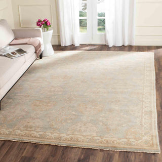 Safavieh Sivas SVS170 Light Blue/Ivory Area Rug Room Scene Feature