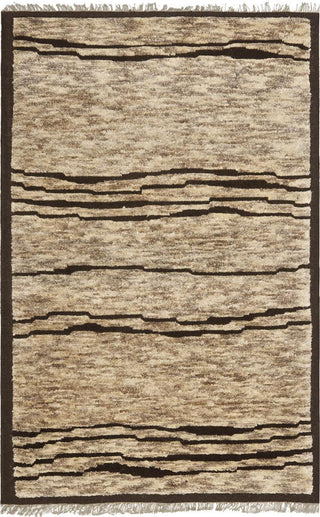 Safavieh Tangier TGR644 Brown/Multi Area Rug main image