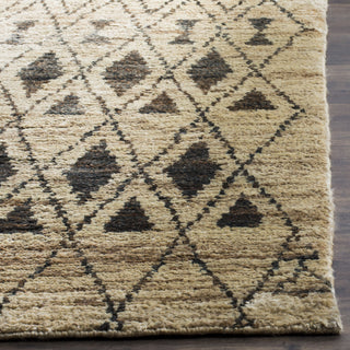 Safavieh Tangier TGR648 Ivory/Black Area Rug Detail