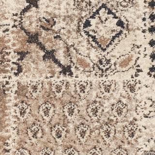 Safavieh Tunisia TUN1311 Ivory Area Rug 