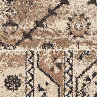 Safavieh Tunisia TUN1311 Ivory Area Rug 