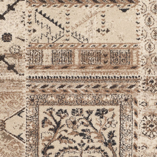 Safavieh Tunisia TUN1311 Ivory Area Rug 