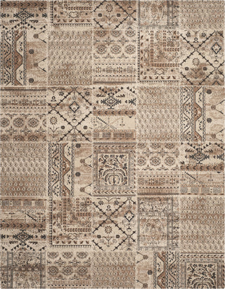 Safavieh Tunisia TUN1311 Ivory Area Rug 